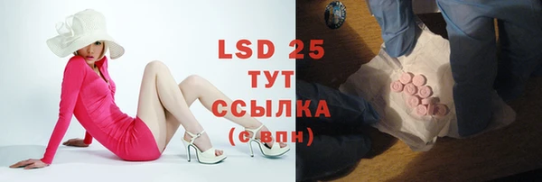 гашик Струнино
