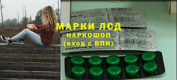 apvp Магас